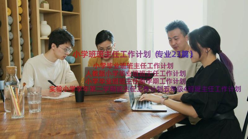 小学班班主任工作计划（专业23篇）