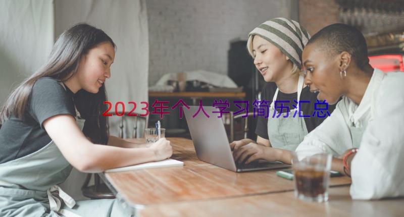 2023年个人学习简历（汇总17篇）