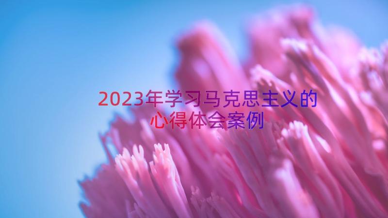 2023年学习马克思主义的心得体会（案例16篇）