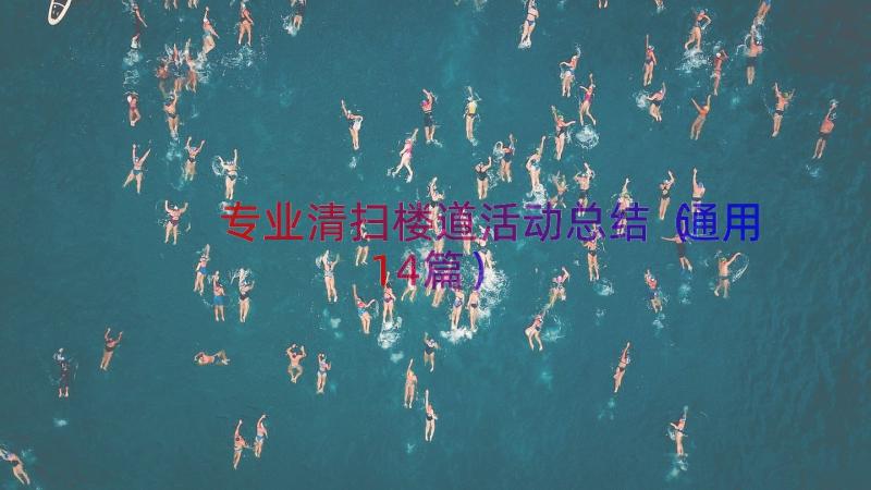 专业清扫楼道活动总结（通用14篇）