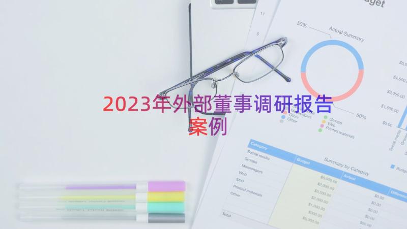 2023年外部董事调研报告（案例13篇）