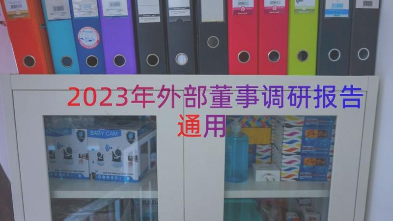 2023年外部董事调研报告（通用14篇）