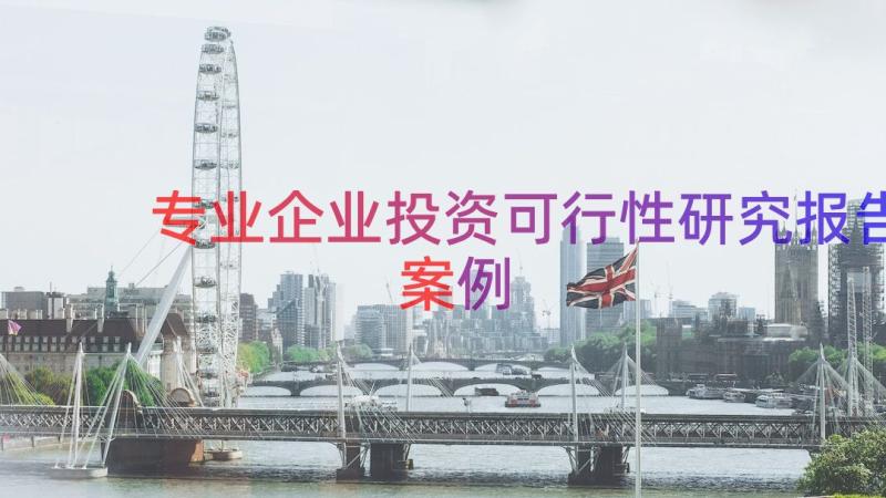 专业企业投资可行性研究报告（案例15篇）