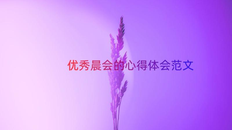 优秀晨会的心得体会范文（13篇）