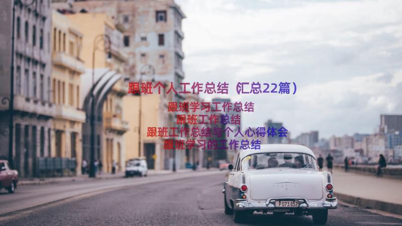 跟班个人工作总结（汇总22篇）