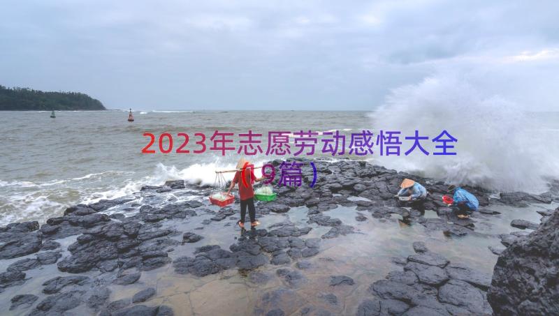 2023年志愿劳动感悟大全（19篇）