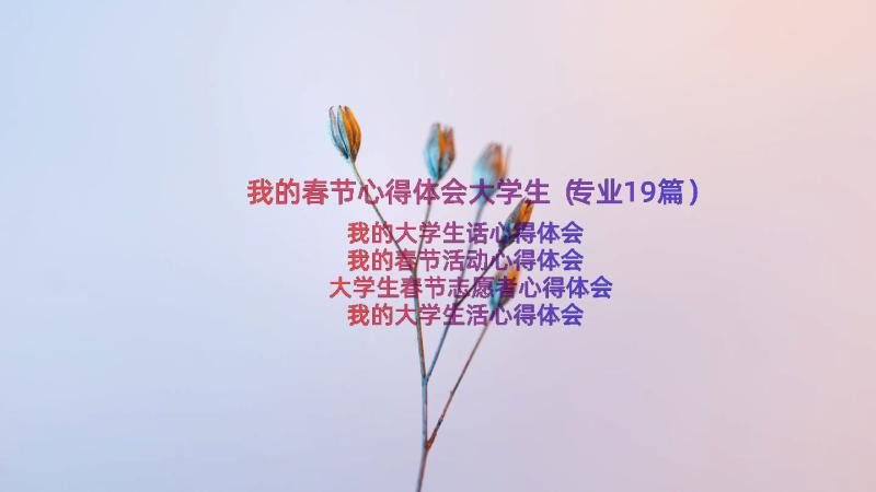 我的春节心得体会大学生（专业19篇）