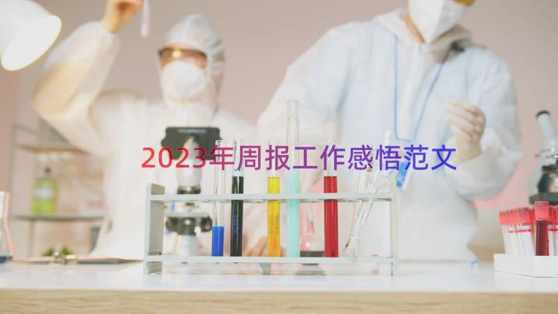 2023年周报工作感悟范文（13篇）