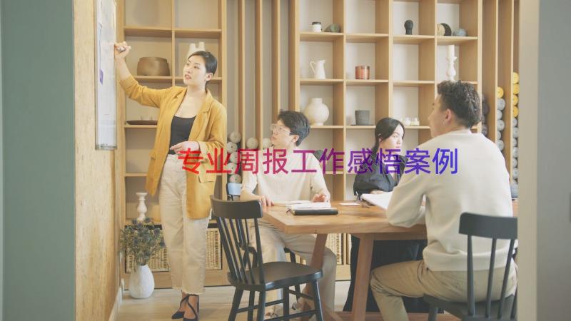 专业周报工作感悟（案例17篇）