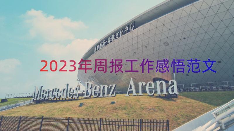 2023年周报工作感悟范文（12篇）