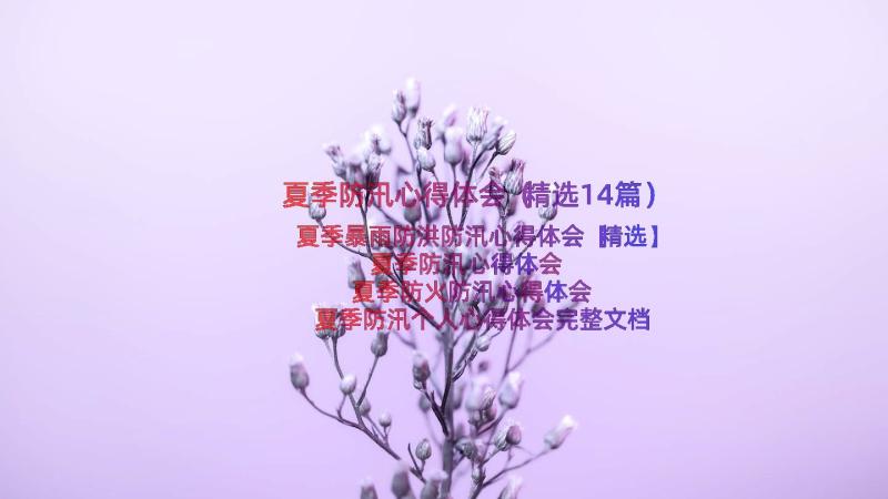 夏季防汛心得体会（精选14篇）