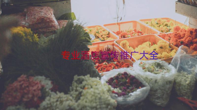 专业酒店宣传推广大全（17篇）