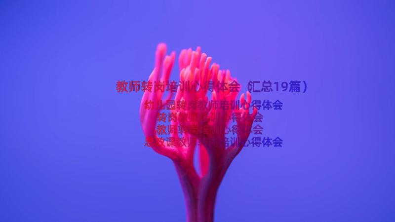 教师转岗培训心得体会（汇总19篇）