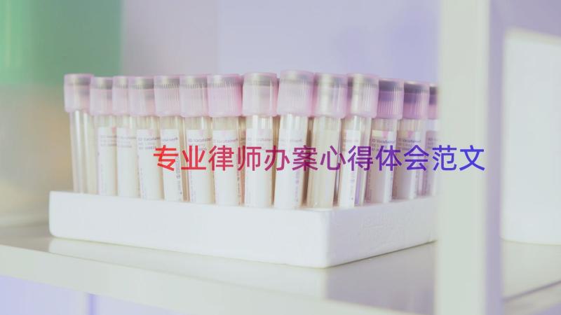 专业律师办案心得体会范文（14篇）