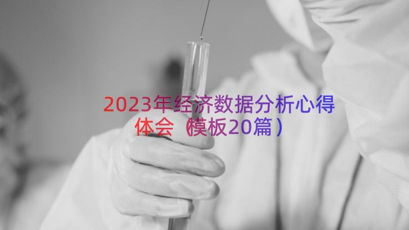 2023年经济数据分析心得体会模板