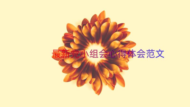 最新党小组会心得体会范文（15篇）