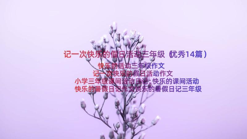 记一次快乐的假日活动三年级（优秀14篇）