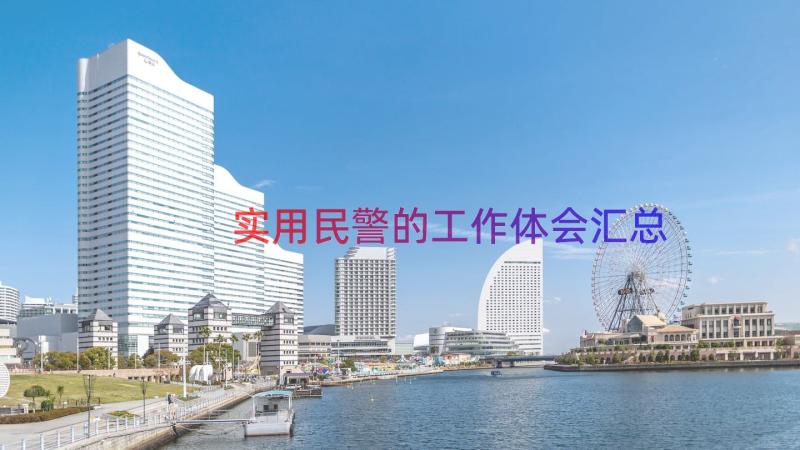 实用民警的工作体会（汇总17篇）