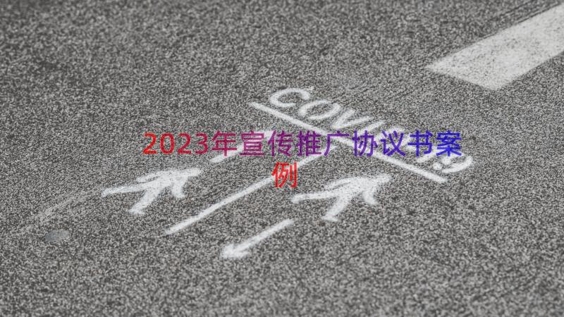 2023年宣传推广协议书（案例13篇）