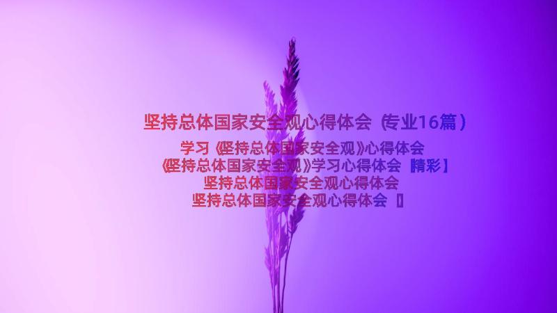 坚持总体国家安全观心得体会（专业16篇）