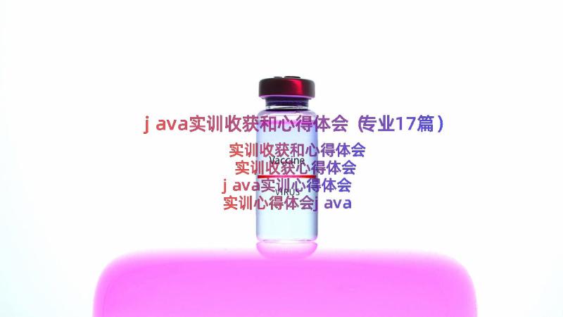 java实训收获和心得体会（专业17篇）