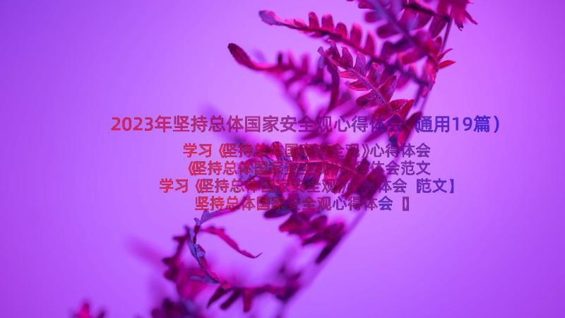 2023年坚持总体国家安全观心得体会（通用19篇）