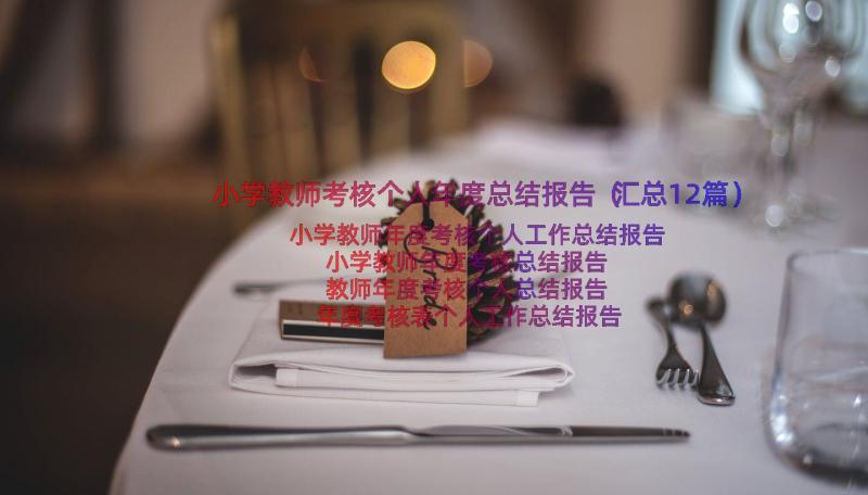 小学教师考核个人年度总结报告（汇总12篇）