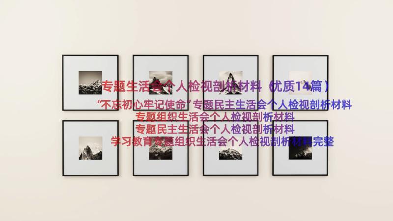 专题生活会个人检视剖析材料（优质14篇）