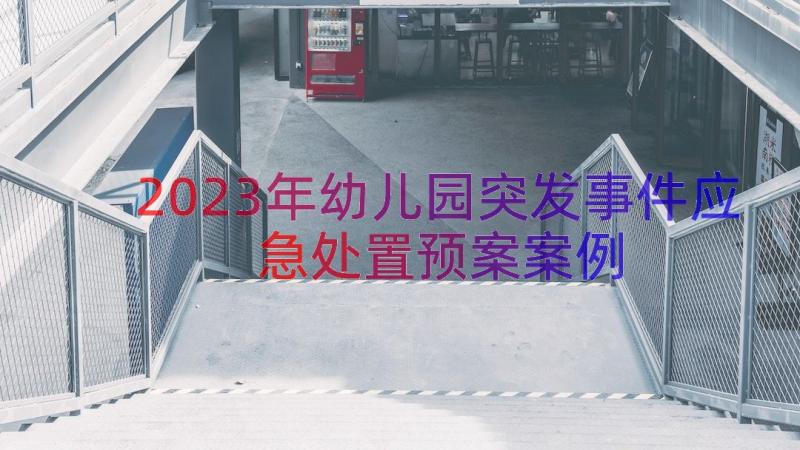 2023年幼儿园突发事件应急处置预案（案例12篇）