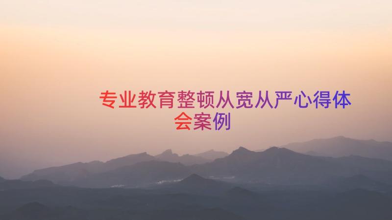 专业教育整顿从宽从严心得体会（案例18篇）