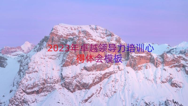 2023年卓越领导力培训心得体会（模板17篇）