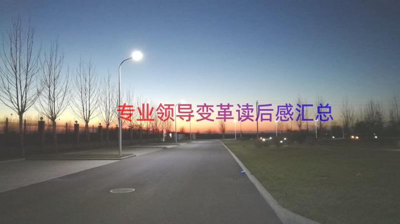 专业领导变革读后感（汇总15篇）