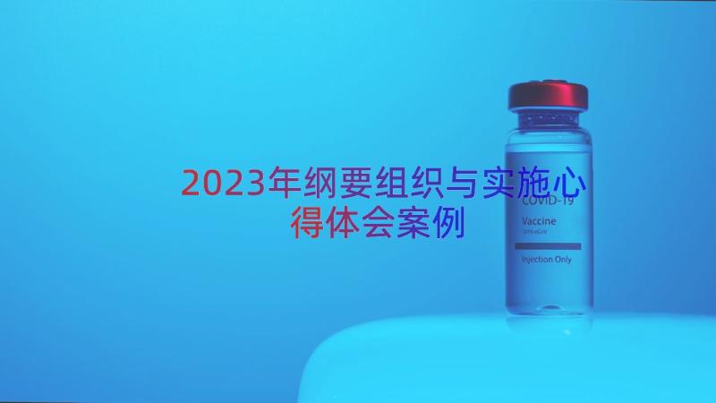 2023年纲要组织与实施心得体会（案例17篇）