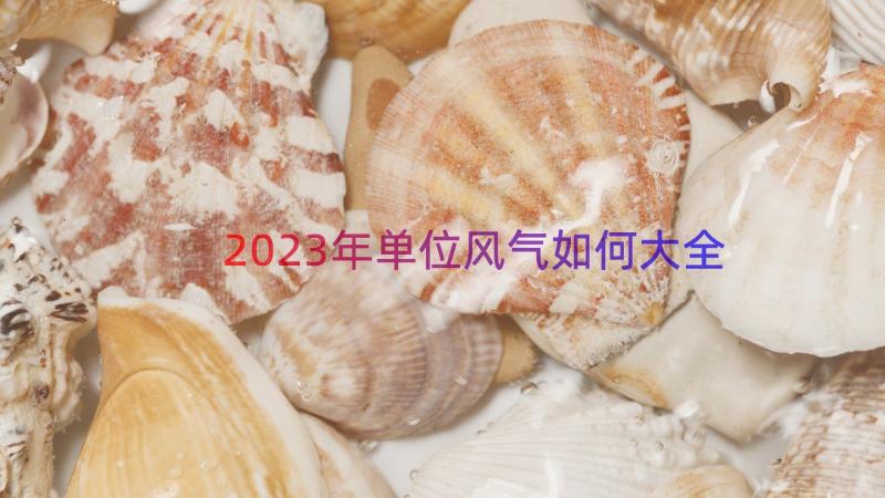 2023年单位风气如何大全（14篇）