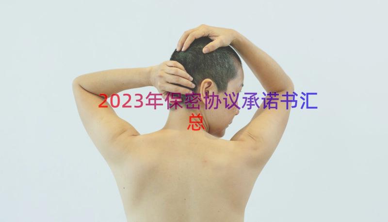 2023年保密协议承诺书（汇总14篇）