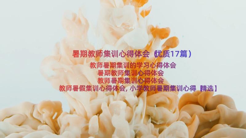 暑期教师集训心得体会（优质17篇）