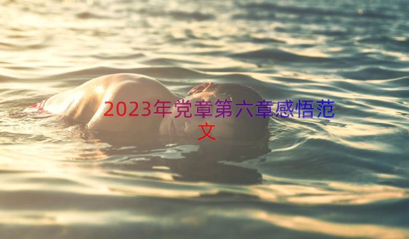 2023年党章第六章感悟范文（15篇）