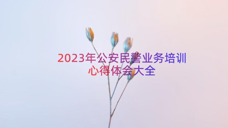 2023年公安民警业务培训心得体会大全（13篇）