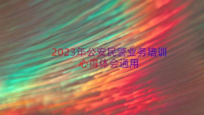 2023年公安民警业务培训心得体会（通用17篇）