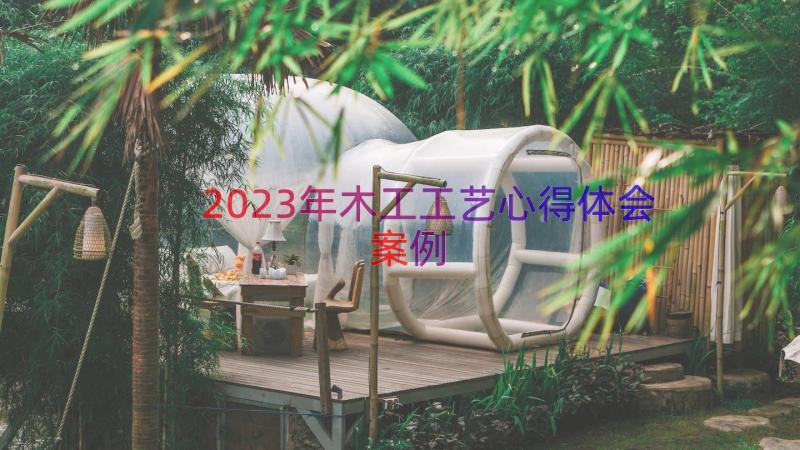 2023年木工工艺心得体会（案例17篇）