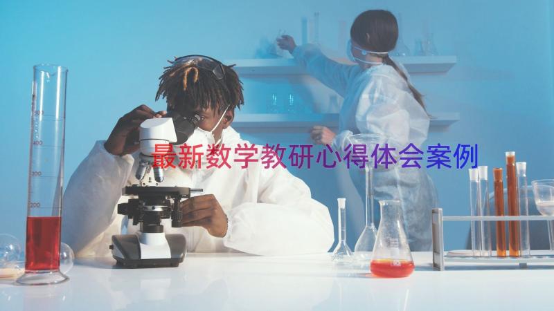 最新数学教研心得体会（案例14篇）