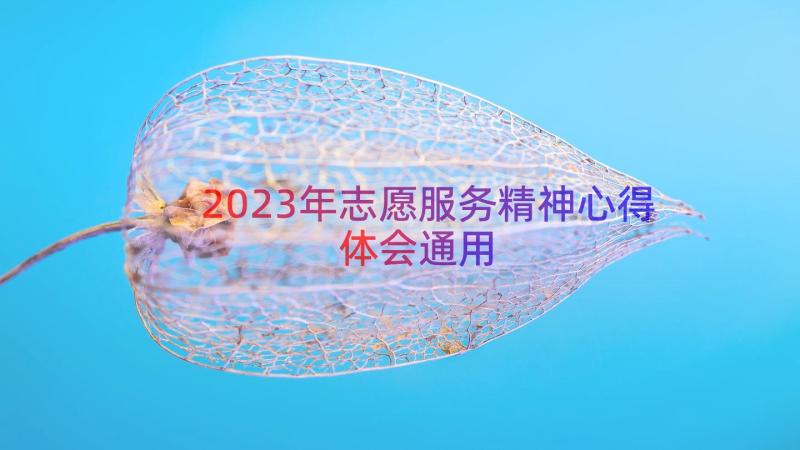 2023年志愿服务精神心得体会（通用13篇）