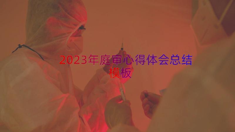 2023年庭审心得体会总结（模板17篇）