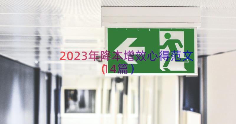 2023年降本增效心得范文（14篇）