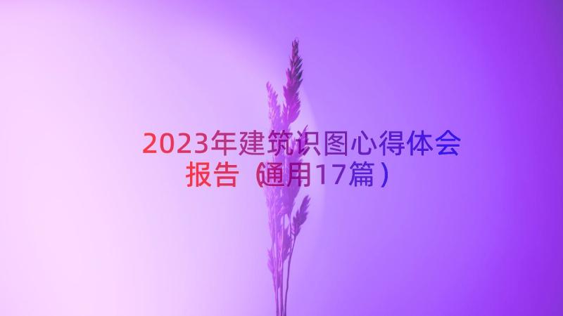 2023年建筑识图心得体会报告（通用17篇）