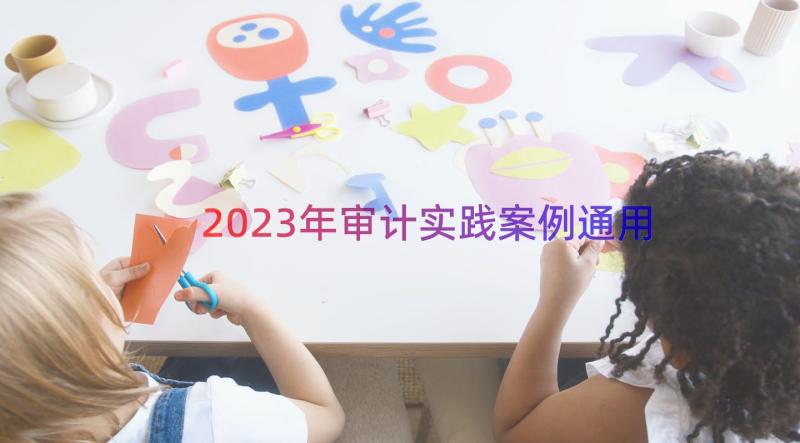 2023年审计实践案例（通用18篇）