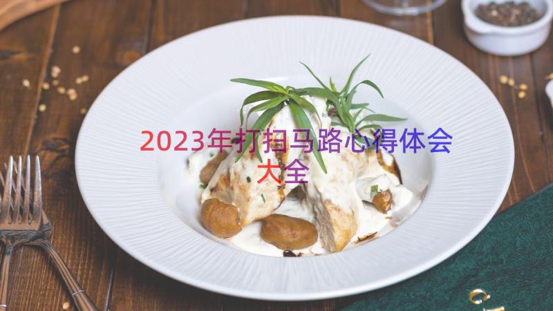 2023年打扫马路心得体会大全（16篇）