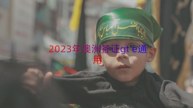 2023年澳洲签证gte（通用13篇）