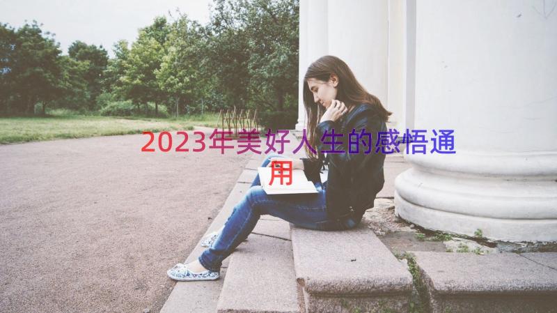 2023年美好人生的感悟（通用12篇）