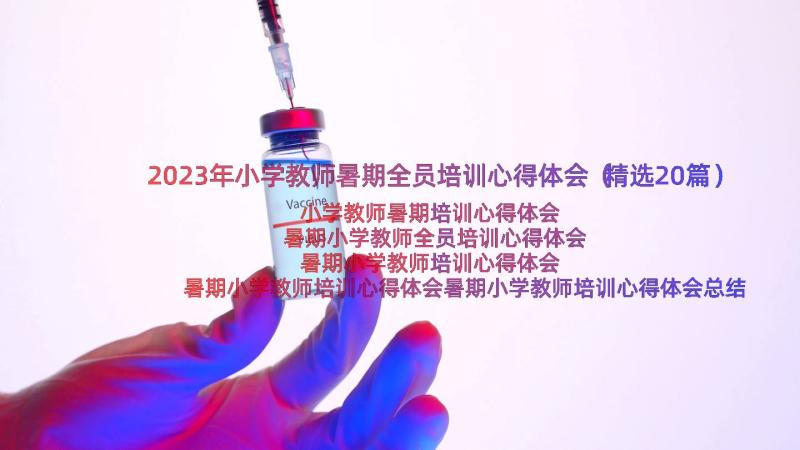 2023年小学教师暑期全员培训心得体会（精选20篇）